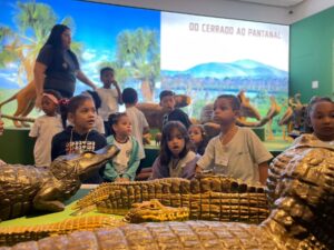 criancas-em-acao-educativa