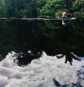 artesão indo manejar materia prima na mata