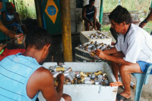 Grupo organizando latinhas enlatados madre de deus